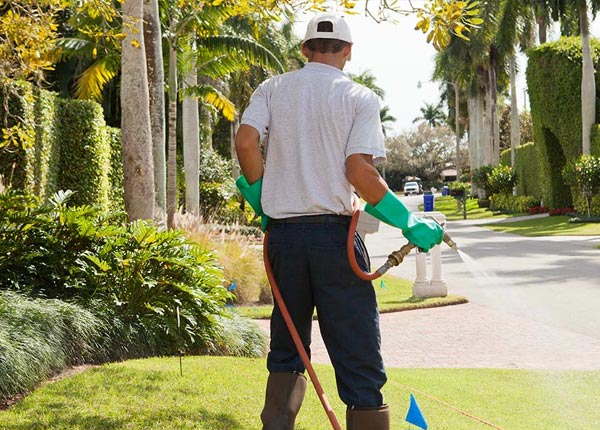 About Clay City KY Pest Control